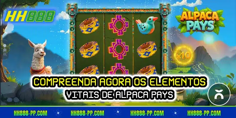 Compreenda agora os elementos vitais de Alpaca Pays
